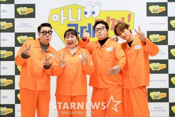 不是但是真的综艺